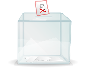 Guvernul a stabilit modul în care românii din străinătate vor vota prin corespondență 