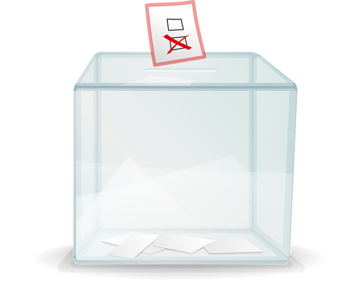 Guvernul a stabilit modul în care românii din străinătate vor vota prin corespondență 