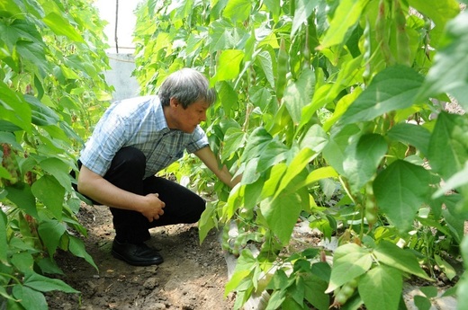 Cioloș: Pentru ceapa de Pericei trebuie răbdare. La Guvern e mai complicat, deoarece lucrezi cu oameni. Dar în ambele cazuri trebuie umilință și modestie