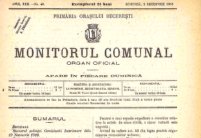 Guvernul obligă primăriile și Consiliile Județene să-și facă monitoare oficiale online
