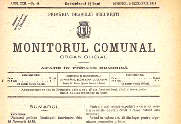 Guvernul obligă primăriile și Consiliile Județene să-și facă monitoare oficiale online