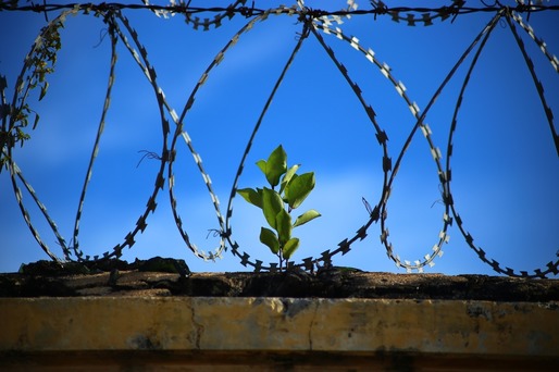 Despăgubirea deținuților pentru condiții din penitenciare va costa statul între 370 și 550 milioane euro