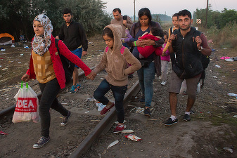 Migrația în UE: Grecia primește cei mai mulți migranți, Unde sunt cele mai multe cereri de azil