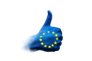 Peste 18,2 milioane de români cu domiciliul în țară și peste 700.000 stabiliți în diaspora au drept de vot la alegerile europarlamentare și referendum