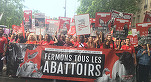 Să închidem abatoarele! - Manifestație la Paris a activiștilor pentru drepturile animalelor, a militanților vegani și a simpatizanților Partidul Animalist