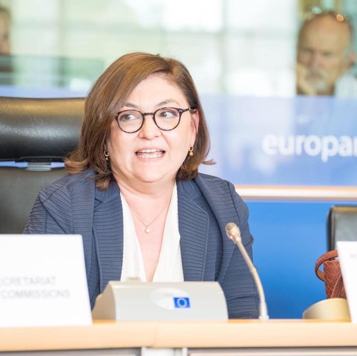 Adina Vălean, audiată marți în comisiile parlamentare reunite de afaceri europene