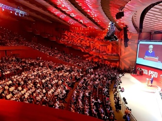 Topul finanțatorilor privați oficiali ai PSD. Un deputat din "noul val" a împrumutat partidul cu 47.000 euro înainte de înfrângerea Vioricăi Dăncilă la prezidențiale