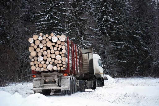 Nouă măsură pentru prevenirea tăierilor ilegale de păduri: Jandarmii vor putea opri și verifica transporturile de lemn