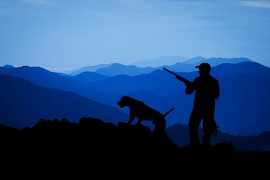 Ignorând obiecțiile specialiștilor și ale președintelui, Parlamentul dă liber la vânătoarea a zeci de specii de păsări