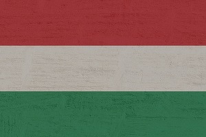 FOTO Opoziția din Ungaria, campanie anti-Orban, acuzat pentru scumpiri