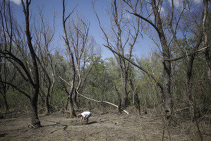 DOCUMENT Forțele Navale ale României vor să cumpere drone de supraveghere, după psihoza fragmentelor de drone presupus rusești găsite în apropierea graniței cu Ucraina