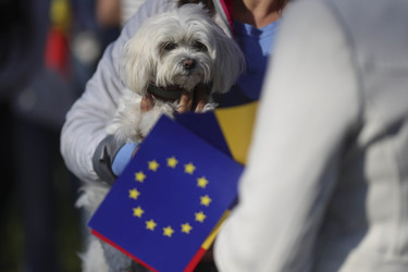 FOTO Cel mai mare miting pro-european din România al ultimilor ani. Apel la ieșirea masivă la vot