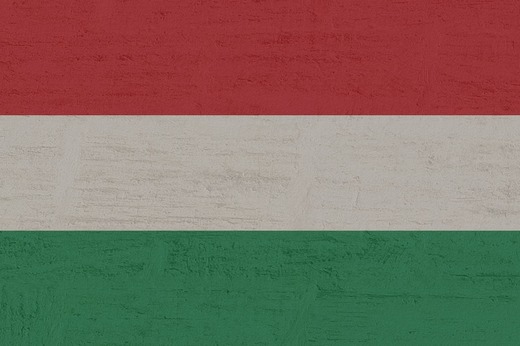 Președintele Ungariei vine în vizită privată în România