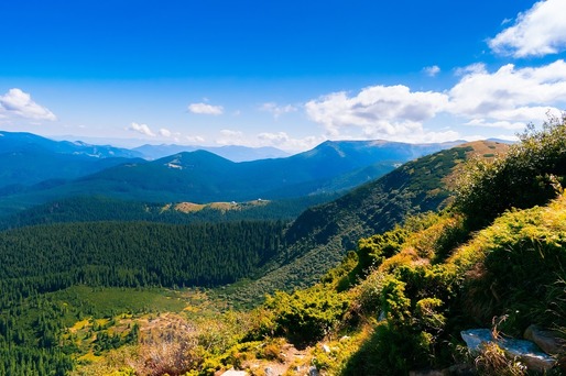Comisia Europeană - România are termen două luni să ia măsurile necesare pentru a-și proteja și gestiona siturile Natura 2000