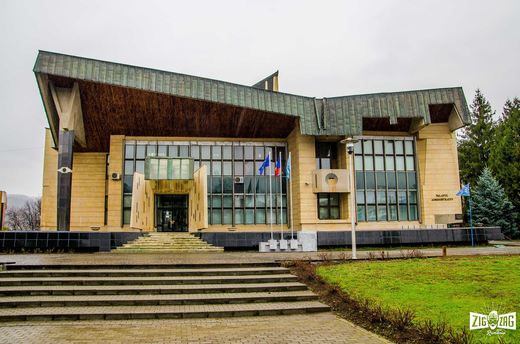 Consiliul Județean Maramureș va împrumuta de laTrezoreria Statului 35 de milioane de lei