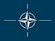 NATO își va întări flancul estic cu arme, muniții și roboți