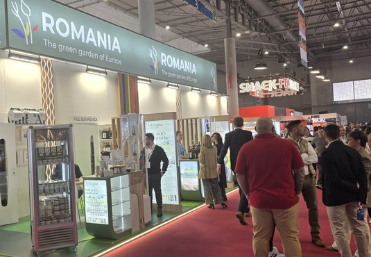 USR vrea desființarea Agenției Române pentru Investiții și Comerț Exterior (ARICE) și transformarea într-o direcție a MAE