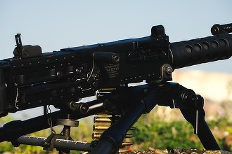 Descoperire a unui ministru în România: În fabrici militare plouă și cresc copaci