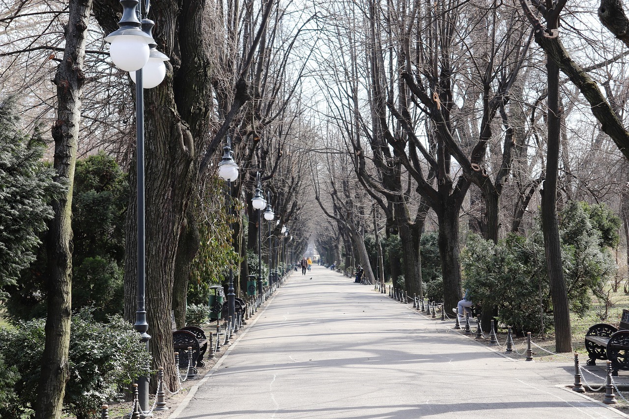 METEO Vremea se răcește accentuat în București, în weekend