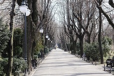 METEO Vremea se răcește accentuat în București, în weekend
