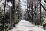 METEO Vremea se răcește accentuat în București, în weekend