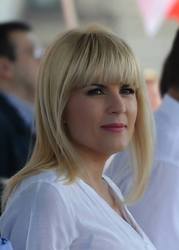 Elena Udrea află mâine dacă scapă de cauțiunea record de 5 milioane de lei