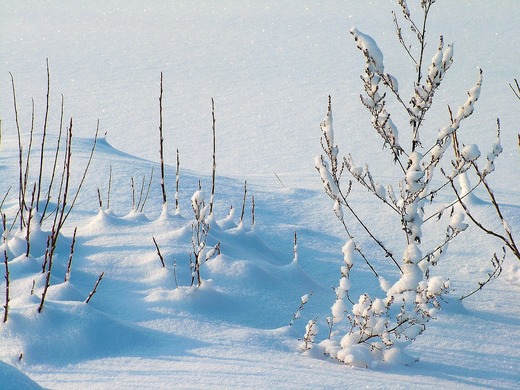 ANM: Nu ne așteptăm să avem două-trei săptămâni consecutiv temperaturi de minus 15 grade, în această iarnă