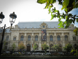 Cum a fost motivată eliberarea lui Cristian Popescu Piedone: DNA nu a demonstrat că primarul a luat mită