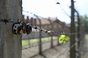 Guvernul a amânat rezolvarea cererilor de retrocedare a terenurilor naționalizate
