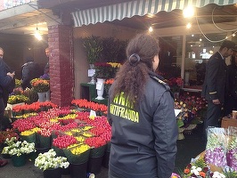 FOTO Antifrauda a declanșat operațiunea "Venus": Comerțul cu flori și plante ornamentale, controlat în amănunt
