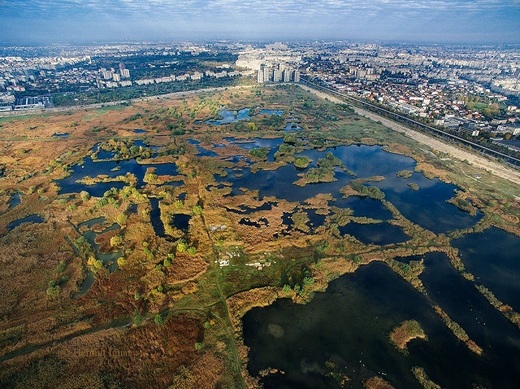 Lacul Văcărești a fost declarat de Guvern ca parc natural. Guvernul Ponta nu apucase să semneze actul