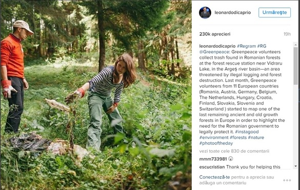 FOTO Actorul american Leonardo DiCaprio cere Guvernului român să protejeze pădurile