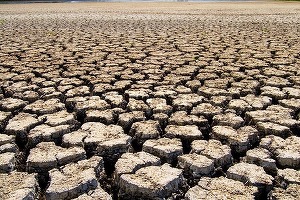 Irlanda de Nord a avut în 2018 cea mai caldă lună iunie din ultimii 172 de ani