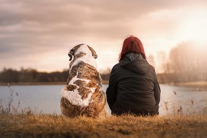 Stăpânii care nu strâng după câinii lor, identificați prin ADN