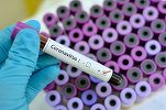 Peste 1.100 de persoane au murit din cauza înfectării cu coronavirus