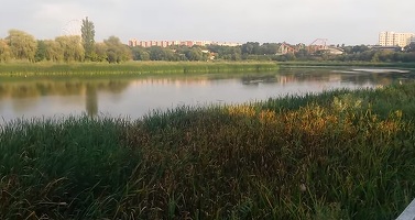 Primăria Capitalei a avizat blocuri de 14 etaje pe malul Lacului Tei pentru familia Borcea