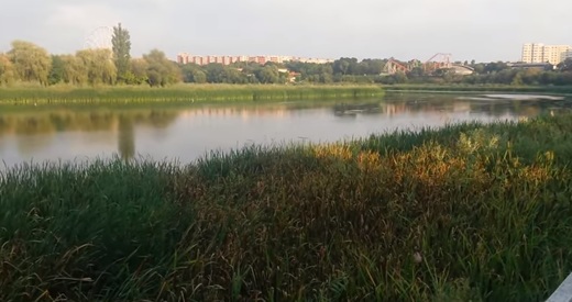 Primăria Capitalei a avizat blocuri de 14 etaje pe malul Lacului Tei pentru familia Borcea
