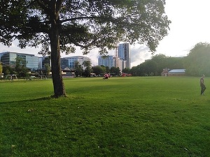 Marea Britanie - Atacul cu cuțit din Parcul Reading, considerat "terorist"