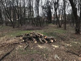 Teren lângă Lacul Herăstrău - în folosința Patriarhiei pentru construirea unei biserici