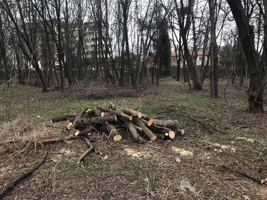 Teren lângă Lacul Herăstrău - în folosința Patriarhiei pentru construirea unei biserici