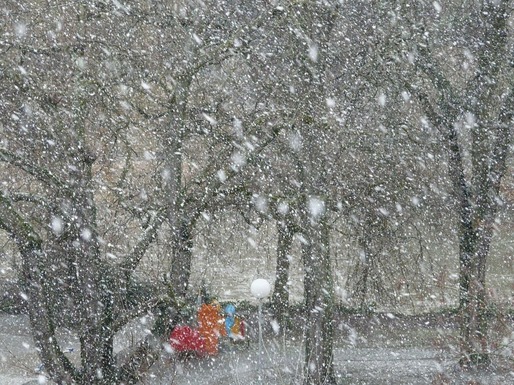 Atenție, revine zăpada în următoarele ore. Meteorologi - Ploi în zona de sud, iar sâmbătă spre duminică ninsori, lapoviță 