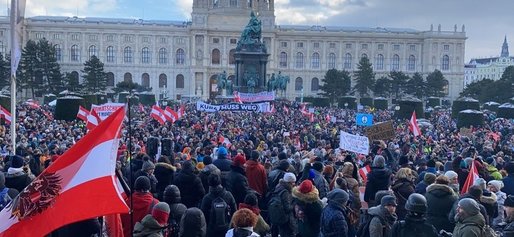 Viena: Mii de oameni în marș de protest împotriva restricțiilor din pandemie