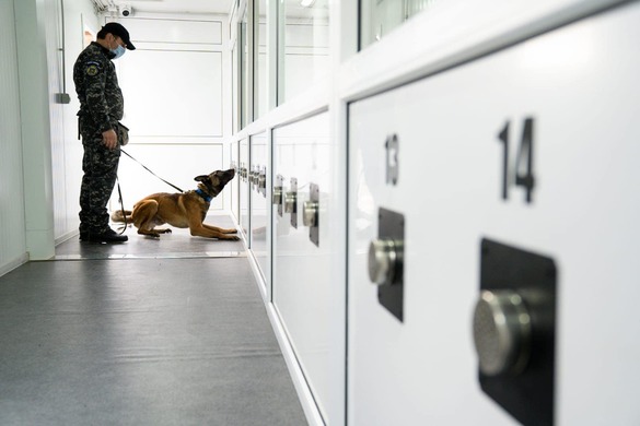 FOTO Poliția Română instruiește câini pentru detectarea persoanelor infectate cu virusul SARS-Cov-2