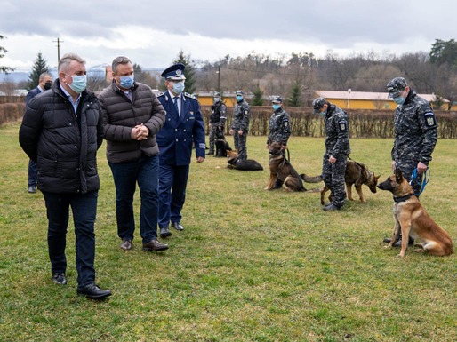 FOTO Poliția Română instruiește câini pentru detectarea persoanelor infectate cu virusul SARS-Cov-2