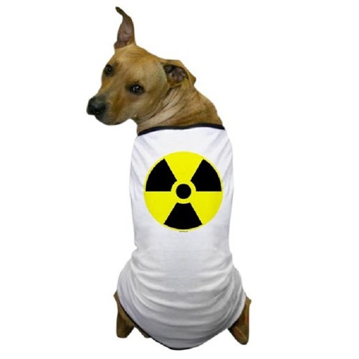 VIDEO INSOLIT Cernavodă, centrala nucleară cu câini maidanezi. Nuclearelectrica vrea să-i evacueze, dar și să se asigure că sunt bine tratați