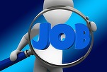 INS: Numărul locurilor de muncă vacante a crescut cu 1.100 în trimestrul II. Cele mai mari rate de neocupare, în administrație, cultură și sănătate