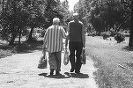În România sunt peste 4,8 milioane de pensionari. Pensia medie - 1.567 de lei 
