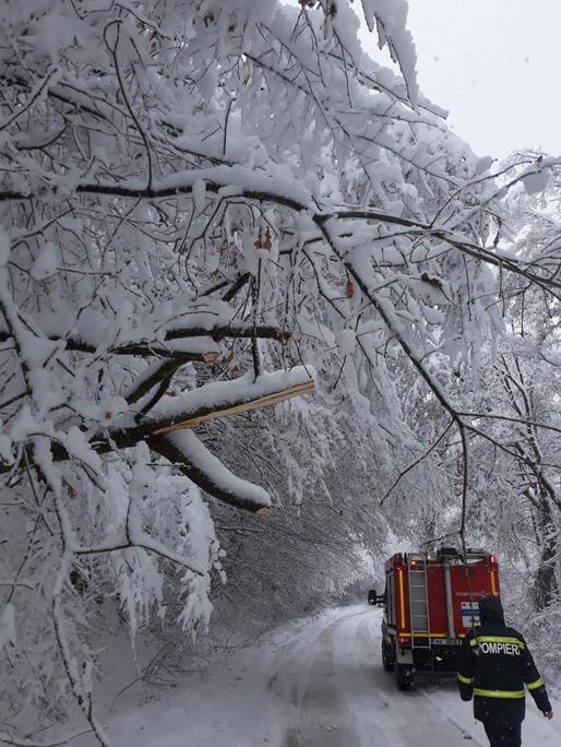 Avarii la rețeaua de electricitate din nordul județului Prahova cauzate de vânt