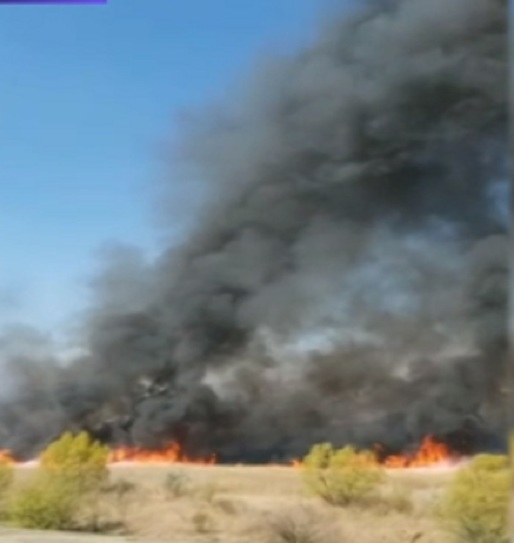 Incendiu puternic în județul Tulcea/ Au ars 400 de hectare de miriște și 600 de baloți de paie/ Focul a fost pus intenționat