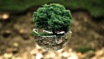 Bistrița, printre orașele finaliste selectate pentru „premiile europene ale orașului verde”